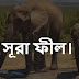সূরা ফীল বাংলা উচ্চারণ ও অর্থ। সূরা ফীল বাংলা অনুবাদ ও তাফসীর।