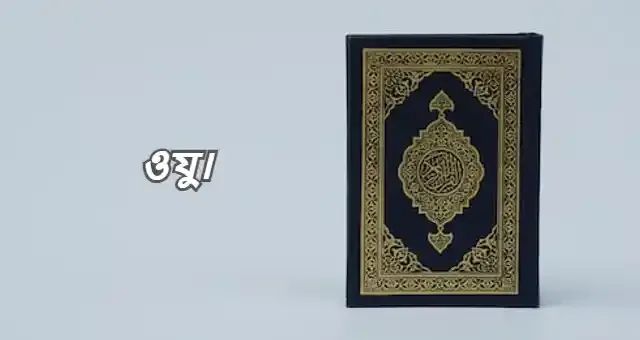 ওয??