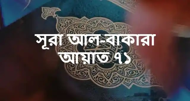 সূরা বাকারা আয়াত ৭১ বাংলা উচ্চারণ | সূরা বাকারা আয়াত ৭১ বাংলা অনুবাদ | সূরা বাকারা আয়াত ৭১ বাংলা উচ্চারণ ও অনুবাদ সহ PDF Download.